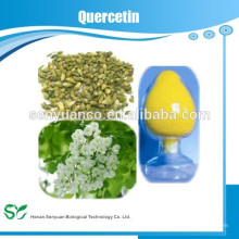 Extracto de Hierbas 98% Quercetina, Extracto de Sophora Japonica